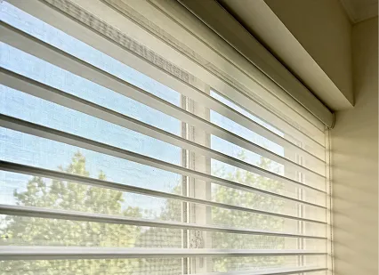 Roller & Retractable Screen Systems