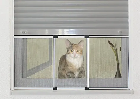 Adjustable Aluminum Sliding Insect Screen Window