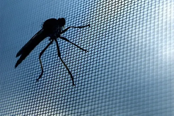 Need protection from insects in a large area?