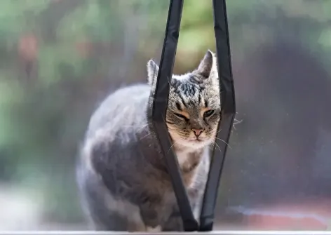Patio Magnetic Mosquito Screen Door