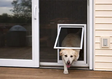 Pet Safe Fly Screen Mesh