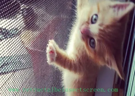 Pet-resistant Insect Screen