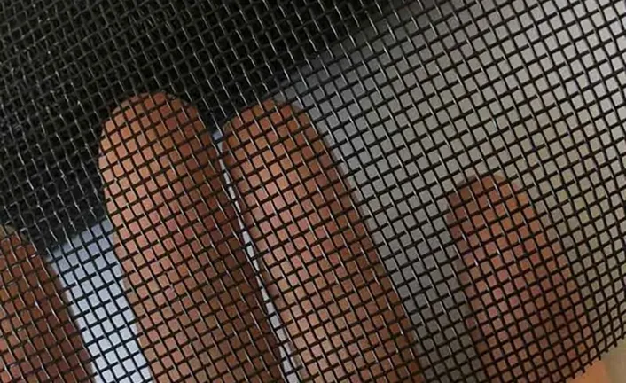 Pool and Patio Screen Mesh