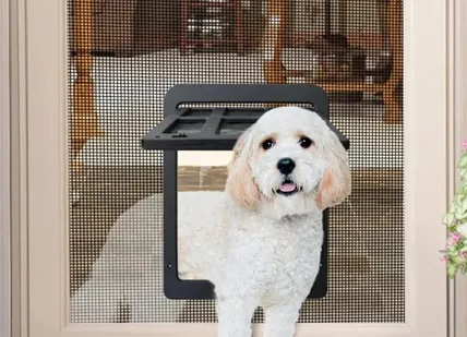 Patio Screen Door
