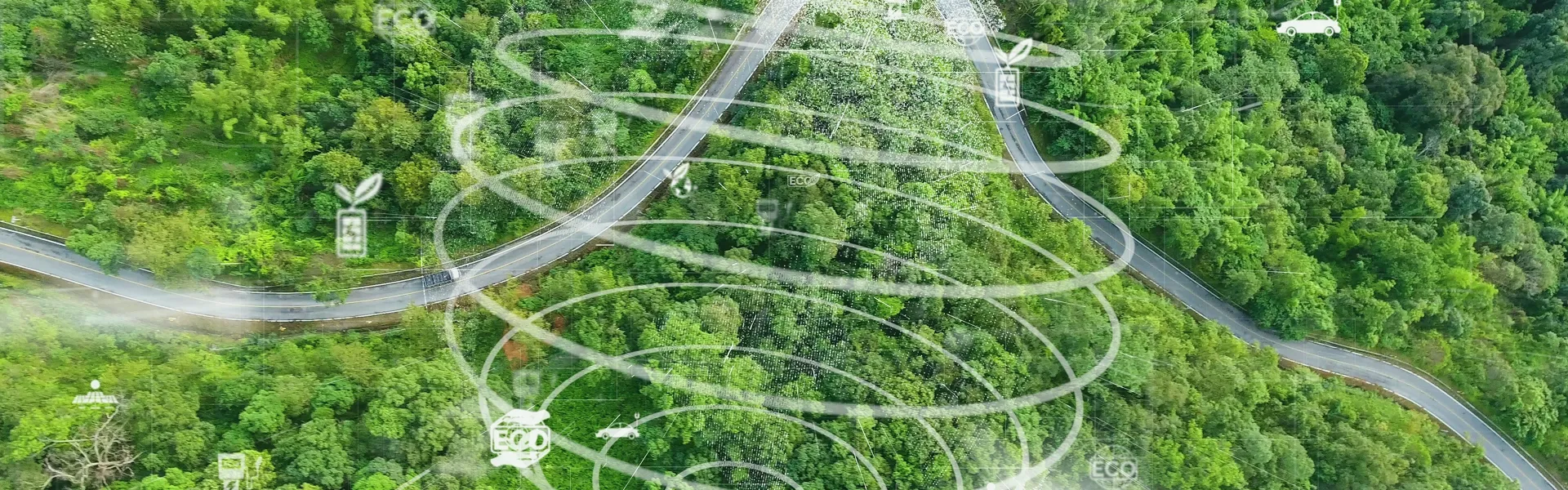 sustainability