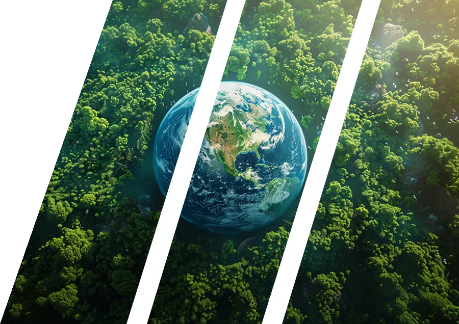 sustainability