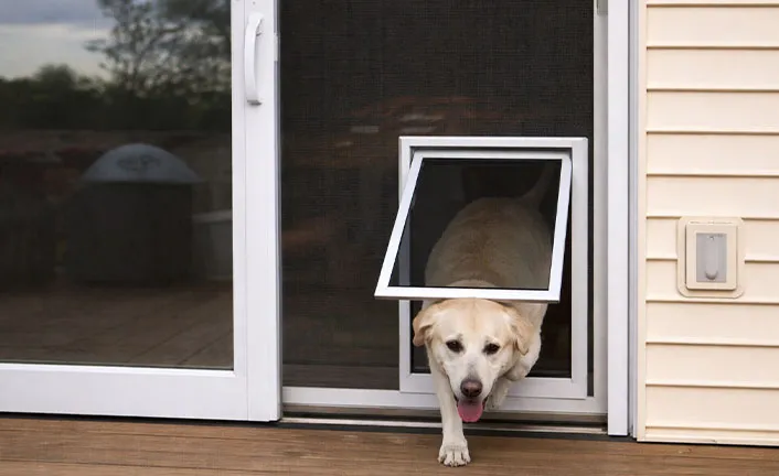 Pet Safe Fly Screen Mesh