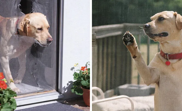 Pet Safe Fly Screen Mesh