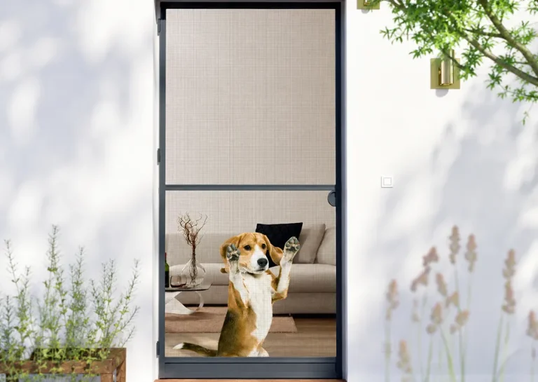 How to Choose the Right Screen Door and Retractable Screen for Your Entryway