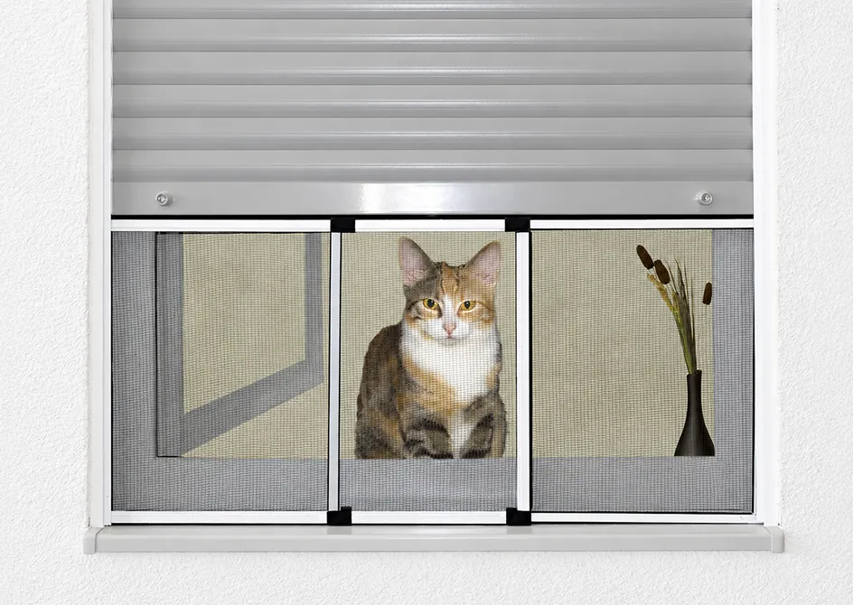 Framed Sliding Screen Window