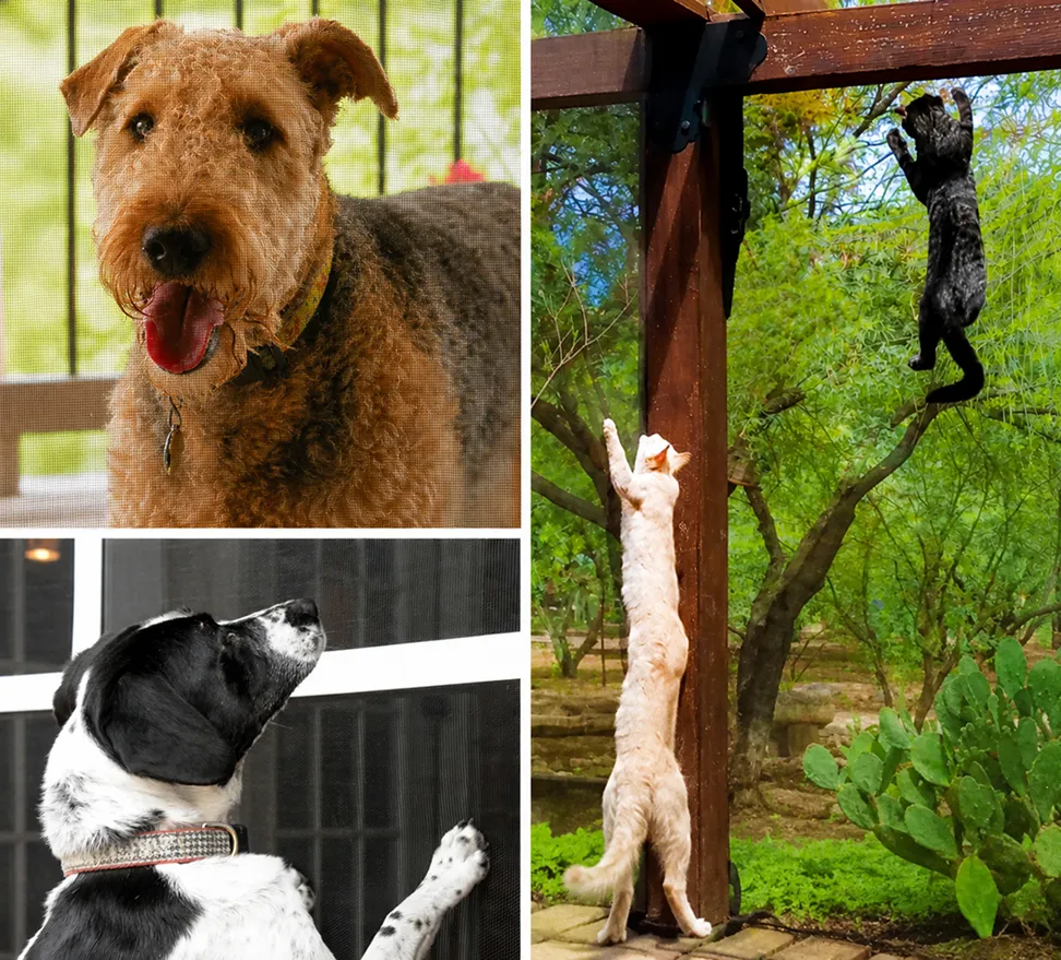 Pet Screen