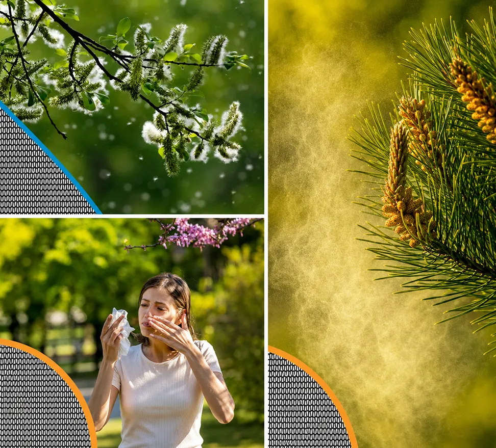 Pollen Guard Insect Screen